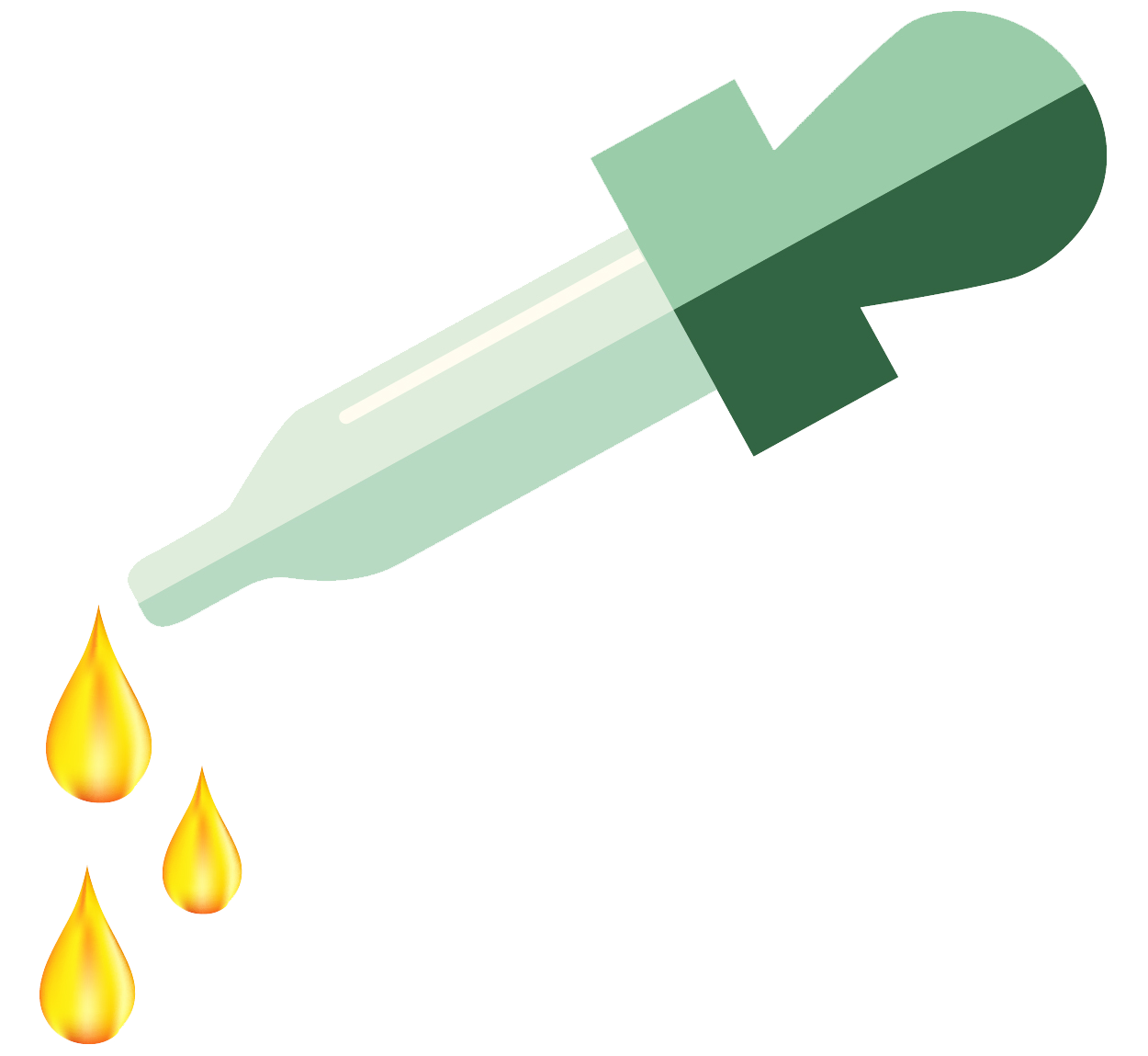 Earn Points For Purchases